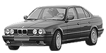 BMW E34 P1D96 Fault Code